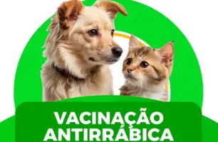 Prefeitura de Beneditinos inicia campanha de vacinação antirrábica em cães e gatos (Foto: Reprodução)