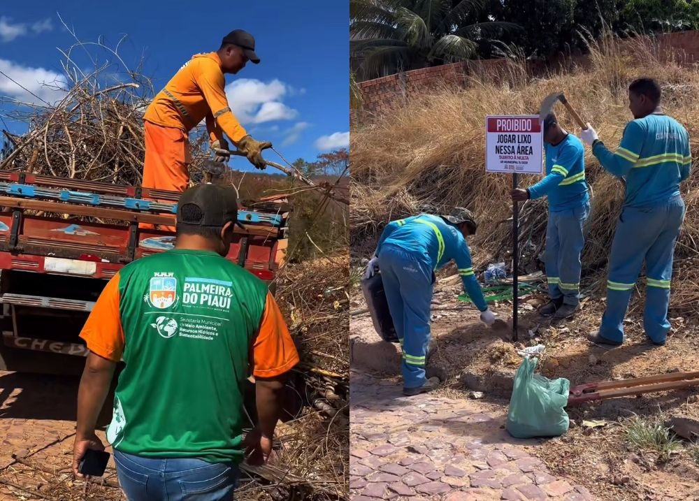 Prefeitura de Palmeira realiza limpeza das margens das vias públicas do município