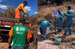 Prefeitura de Palmeira realiza limpeza das margens das vias públicas do município (Foto: Reprodução)