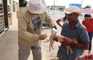 Prefeitura de São Raimundo Nonato divulga cronograma de vacinação antirrábica (Foto: Reprodução/ ASCOM)