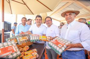 Produção de ovos no Piauí cresce 75% e registra aumento histórico (Foto: Reprodução)