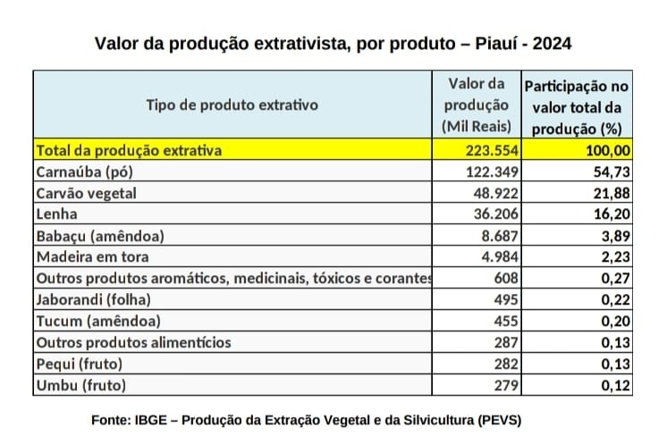 Produção extrativista do Piauí cai e reflexo está no controle ambiental