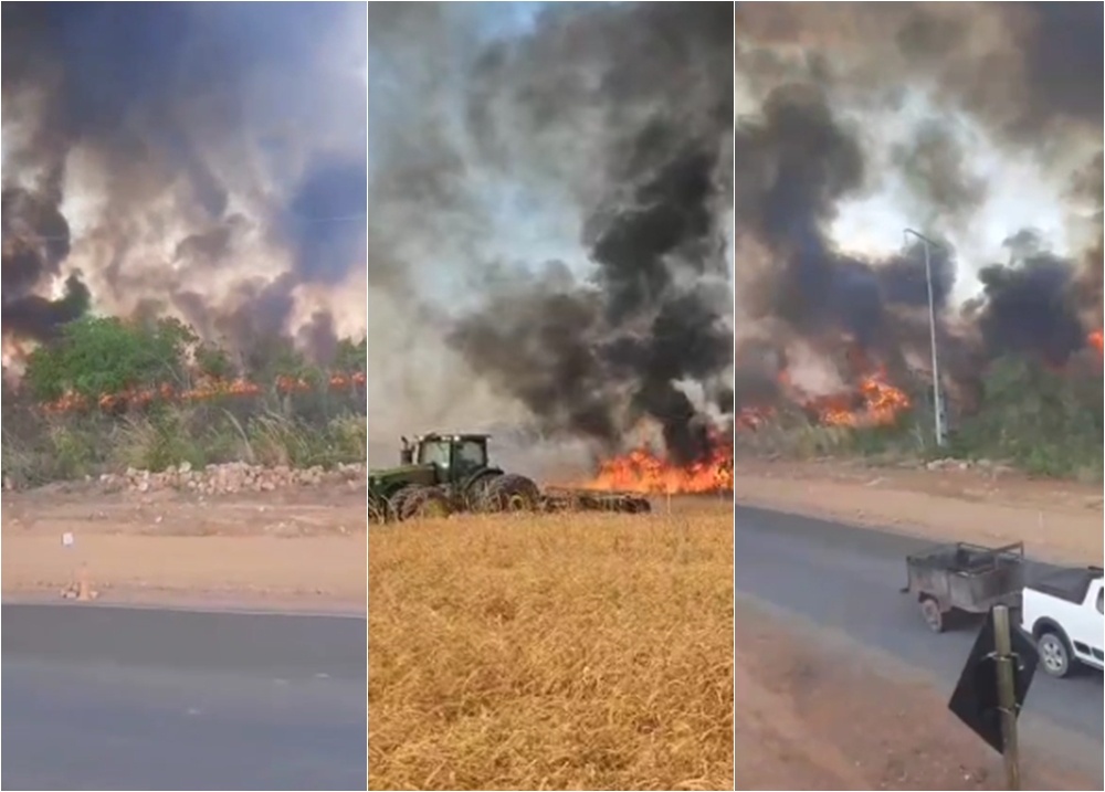 Queimada atinge cerrado em Ribeiro Gonçalves, próximo a usina solar