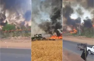 Queimada atinge cerrado em Ribeiro Gonçalves, próximo a usina solar (Foto: Reprodução)