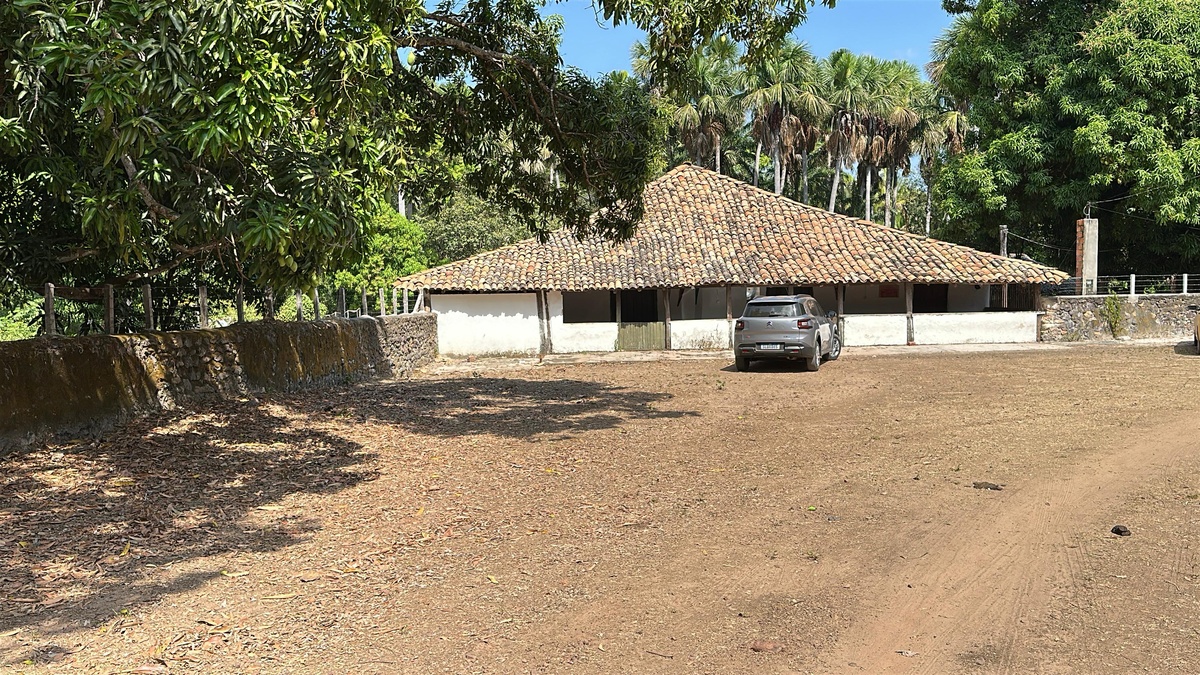 Quilombo Olho d’Água dos Negros preserva memória e tradições em Esperantina