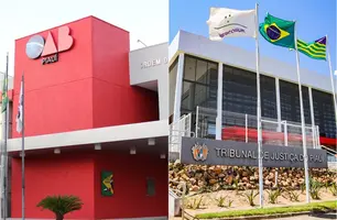 Quinto Constitucional: 10 mil advogados escolhem novo desembargador do TJ-PI (Foto: Reprodução)