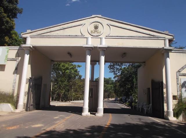 Rede Feminina promove ação do Setembro Dourado no Bioparque Zoobotânico