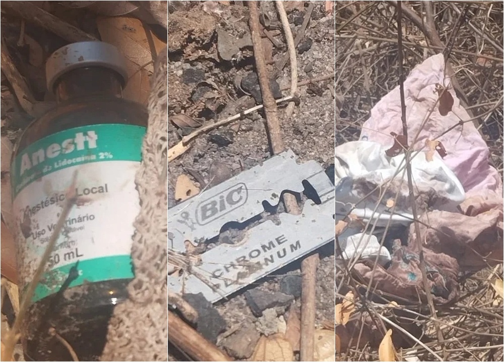 Restos de feto são achados às margens da BR em cidade do Piauí