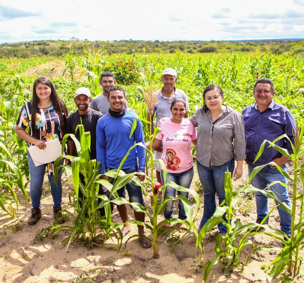 SAF entregou 2 mil hectares a agricultores familiares do Crédito Fundiário em 2025