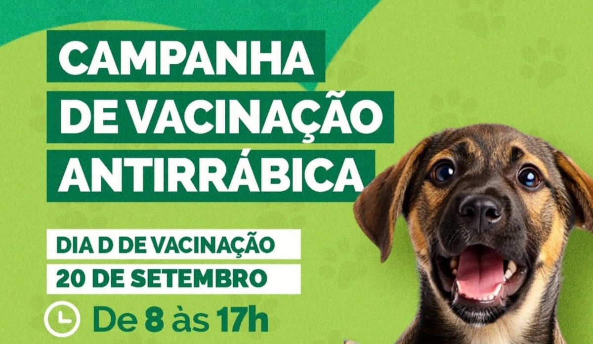 São João do Arraial Inicia Campanha de Vacinação Antirrábica com 'Dia D'