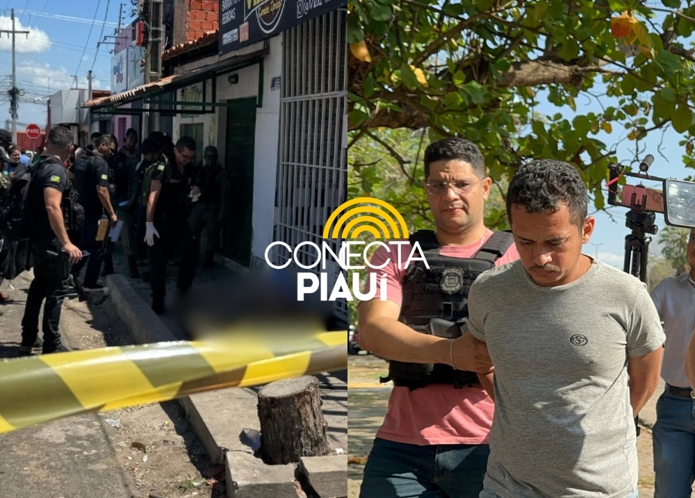 Suspeito de matar homem com facada na zona Leste de Teresina é apresentado no DHPP