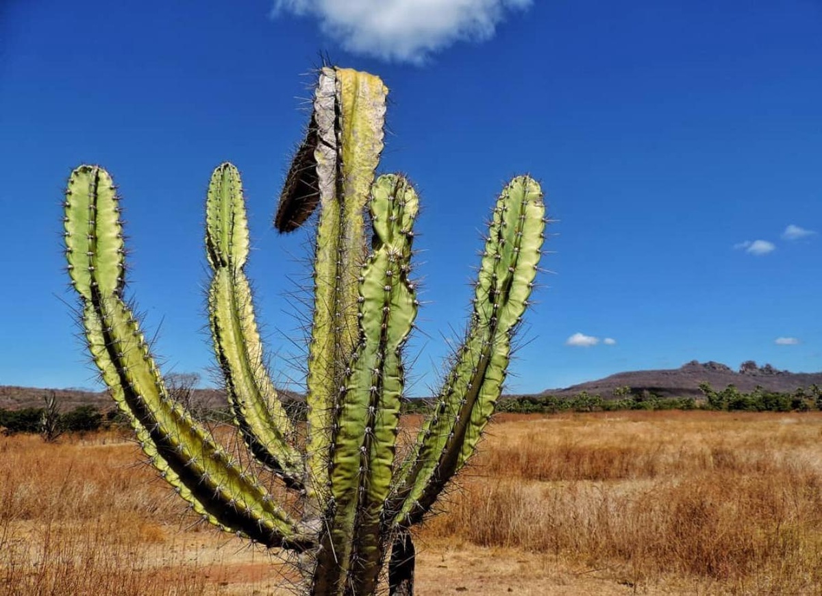 Território atingindo pela seca