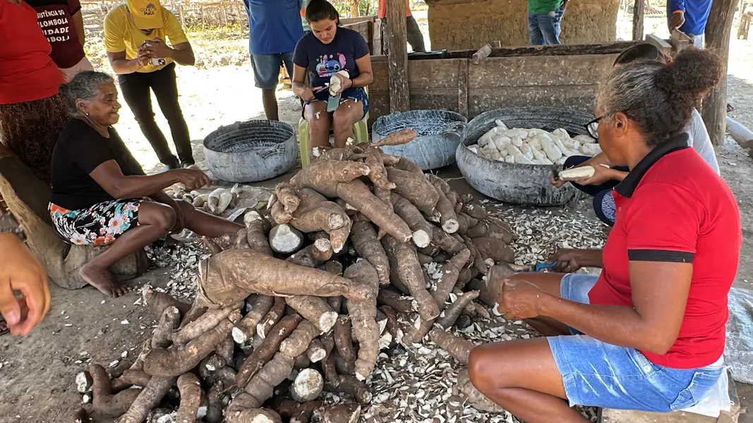 Trabalho, cultura e resistência: a vida na Comunidade Vereda de Anacleto