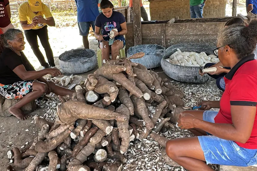 Trabalho, cultura e resistência: a vida na Comunidade Vereda de Anacleto