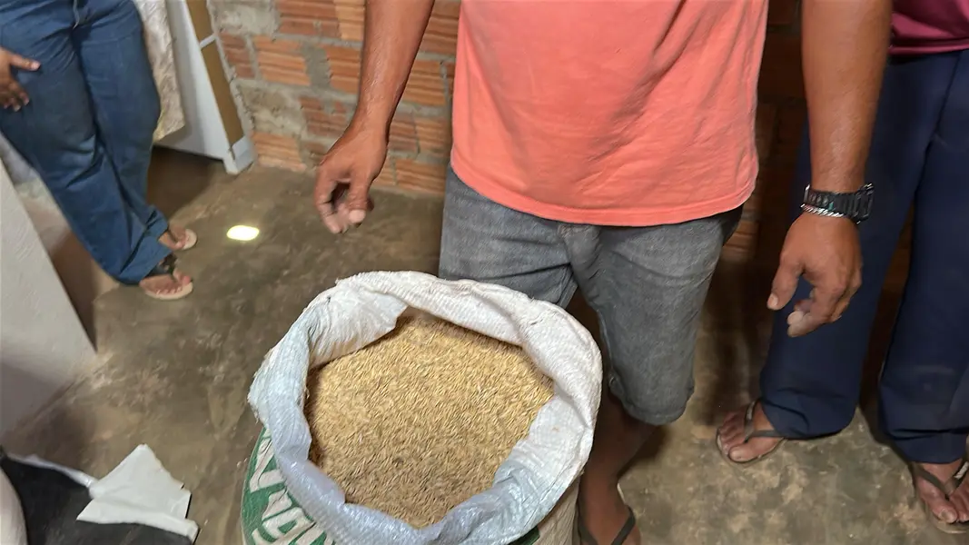 Trabalho, cultura e resistência: a vida na Comunidade Vereda de Anacleto