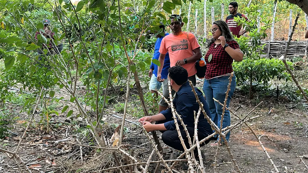 Trabalho, cultura e resistência: a vida na Comunidade Vereda de Anacleto