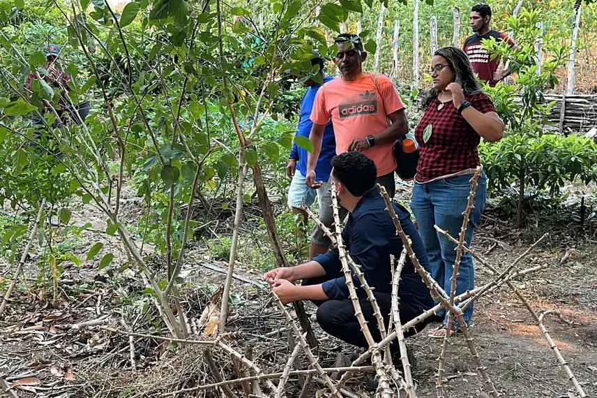 Trabalho, cultura e resistência: a vida na Comunidade Vereda de Anacleto