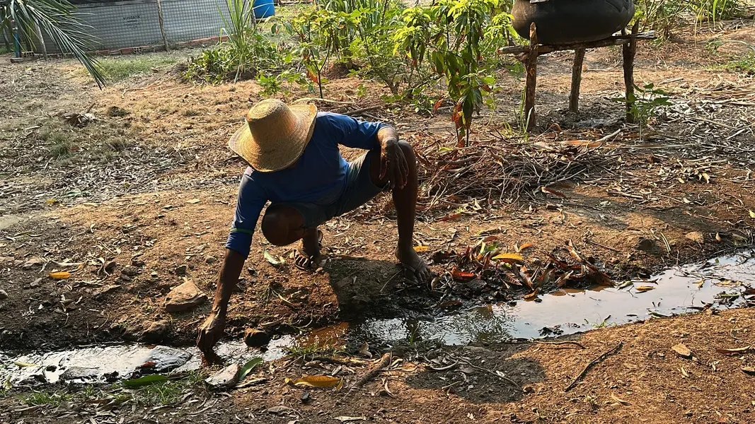 Trabalho, cultura e resistência: a vida na Comunidade Vereda de Anacleto