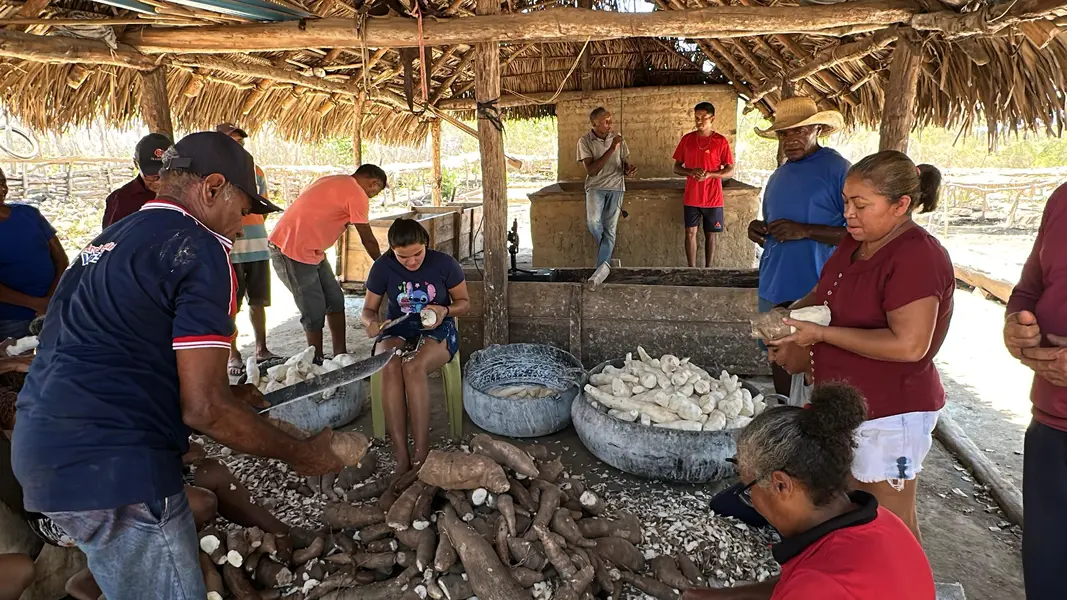 Trabalho, cultura e resistência: a vida na Comunidade Vereda de Anacleto