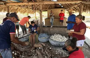 Trabalho, cultura e resistência: a vida na Comunidade Vereda de Anacleto (Foto: Conecta Piauí)