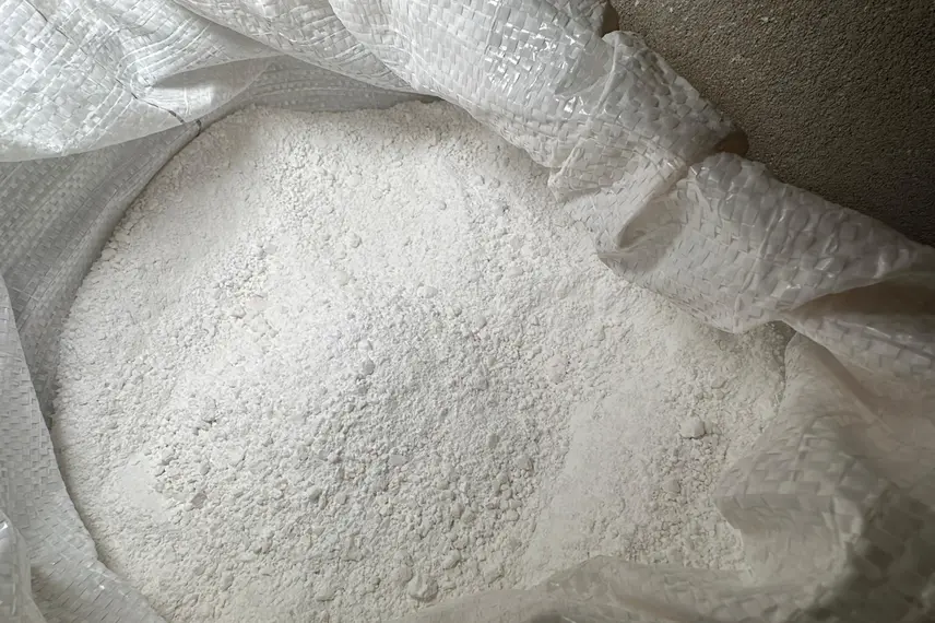 Trabalho, cultura e resistência: a vida na Comunidade Vereda de Anacleto