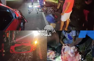 Vaca causa triplo acidente na PI-130 em Nazária; adolescente ficou preso sob carro (Foto: Repórter 12/Conecta Piauí)