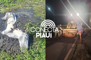 Ação conjunta da PM e moradores salva cavalo preso em lamaçal em Parnaíba (Foto: Divulgação/ Folha do Delta)