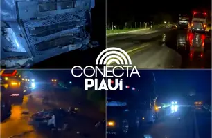 Acidente na BR-135 mata quatro pessoas da mesma família em Cristino Castro (Foto: Reprodução)