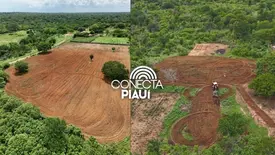 Agricultura familiar ganha reforço com programa de aração em São Raimundo Nonato (Foto: Reprodução)