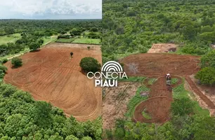 Agricultura familiar ganha reforço com programa de aração em São Raimundo Nonato (Foto: Reprodução)