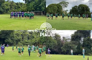 Altos enfrenta Fluminense-PI no Albertão pela 3ª rodada do Piauiense (Foto: Portal Conecta Piauí)