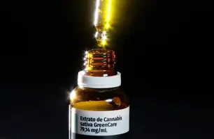 Anvisa aprova cultivo de cannabis por empresas e amplia acesso (Foto: TV Brasil)