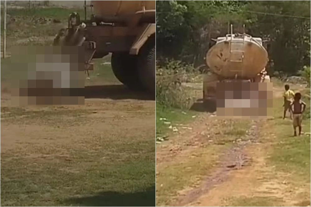 Após vídeo de égua arrastada, Célio Studart aciona autoridades no Piauí