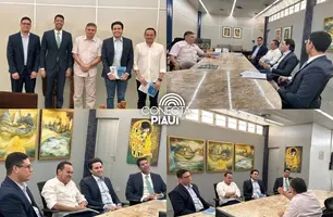 APPM busca apoio do TCE-PI para qualificação da gestão pública nos municípios (Foto: Reprodução)