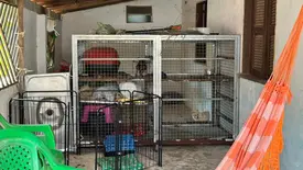 Assustados e desnutridos, cães são resgatados de canil clandestino em Parnaíba (Foto: Reprodução)