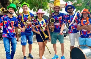 Bloquinho Unidos da Campos Sales leva nostalgia e alegria ao carnaval da cidade (Foto: Reprodução)