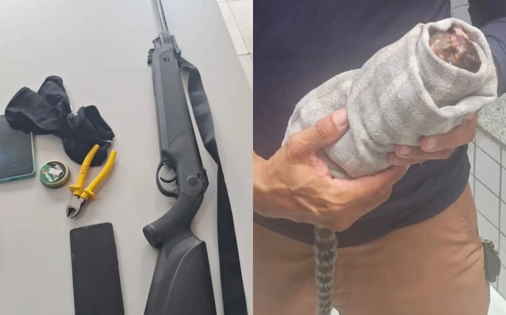 BPA prende suspeito de caça ilegal na Floresta Fóssil e resgata sagui ferido