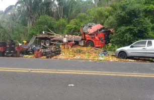 Caminhão capota e motorista fica ferido na BR-316, em Demerval Lobão (Foto: Reprodução)