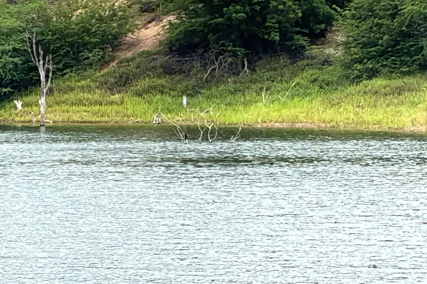 Catamarã na Barragem do Jenipapo revela força do turismo em São João do Piauí