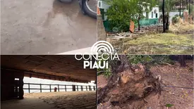 Chuva com granizo surpreende moradores de São Miguel do Tapuio (Foto: Felipe Germando / São Migue Agora)