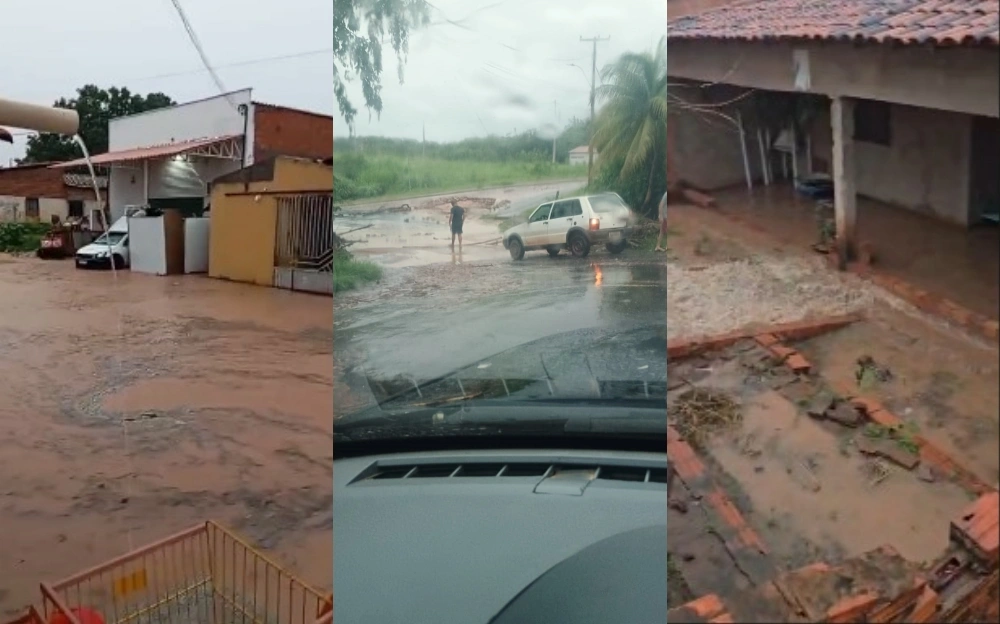 Chuva provoca enchentes, alaga casas e mata animais em Bom Jesus