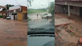 Chuva provoca enchentes, alaga casas e mata animais em Bom Jesus (Foto: Reprodução)