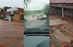 Chuva provoca enchentes, alaga casas e mata animais em Bom Jesus (Foto: Reprodução)