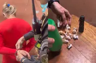 Companheira do traficante 'Bambam' é presa com drogas durante operação em Parnaíba