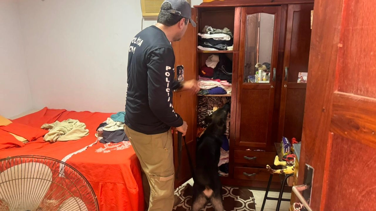 Companheira do traficante 'Bambam' é presa com drogas durante operação em Parnaíba