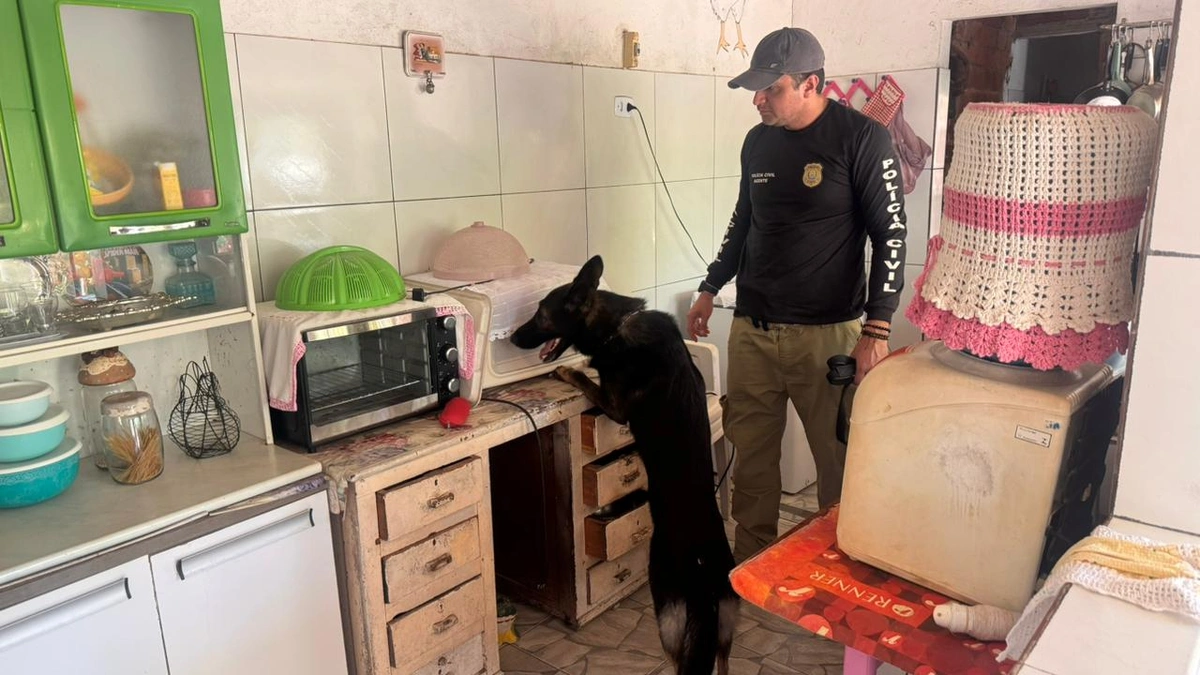 Companheira do traficante 'Bambam' é presa com drogas durante operação em Parnaíba