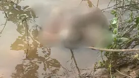 Corpo é encontrado no Rio Parnaíba entre União e Miguel Alves (Foto: Reprodução)