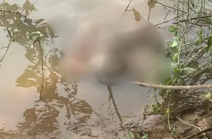 Corpo é encontrado no Rio Parnaíba entre União e Miguel Alves (Foto: Reprodução)