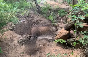 Corpo em estado de esqueletização é encontrado em área de mata em Picos (Foto: Reprodução)