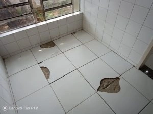 CRM-PI encontra falta de remédios, insegurança e falhas graves em UBS em Teresina